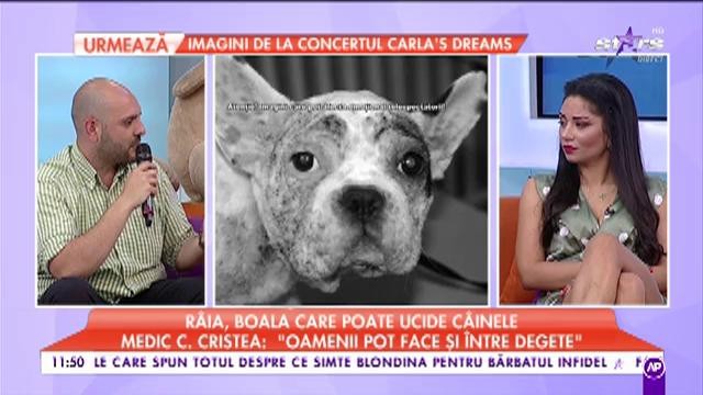 Râia, boala care poate ucide câinele dacă nu este tratată la timp. Greșelile pe care trebuie să le eviți