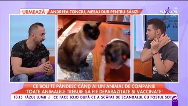 Ce boli te pândesc când ai un animal de companie: "Toate patrupedele trebuie să fie deparazitate și vaccinate"