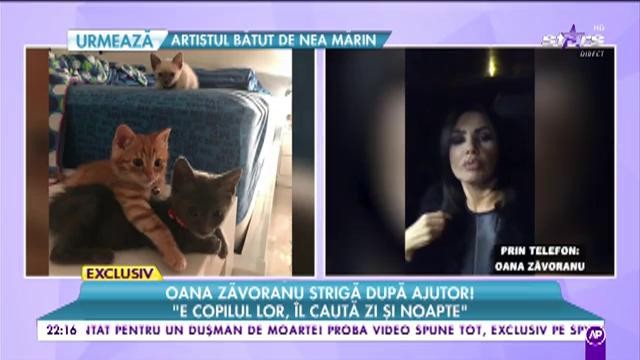 Oana Zăvoranu strigă după ajutor! Vedeta oferă recompensă celui care o poate salva