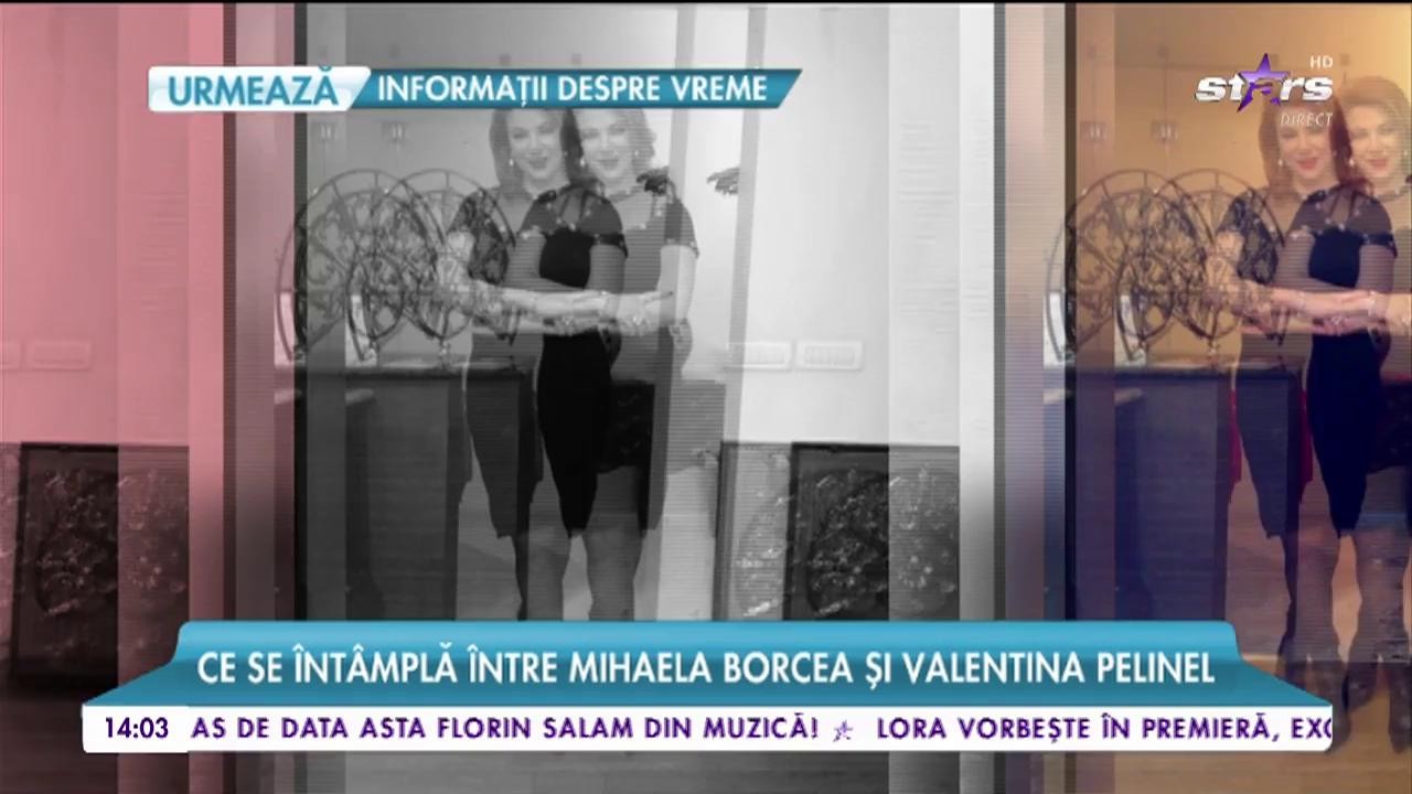 Mihaela Borcea şi Valentina Pelinel au rupt orice formă de legătură