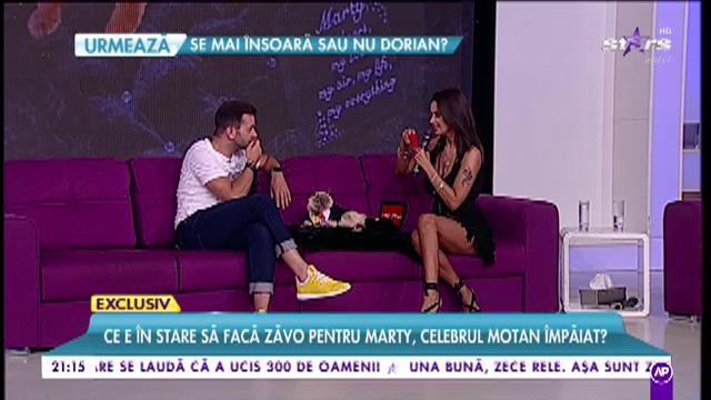 Oana Zăvoranu și-a adus motanul împăiat la TV! "Inima și limba sunt conservate"