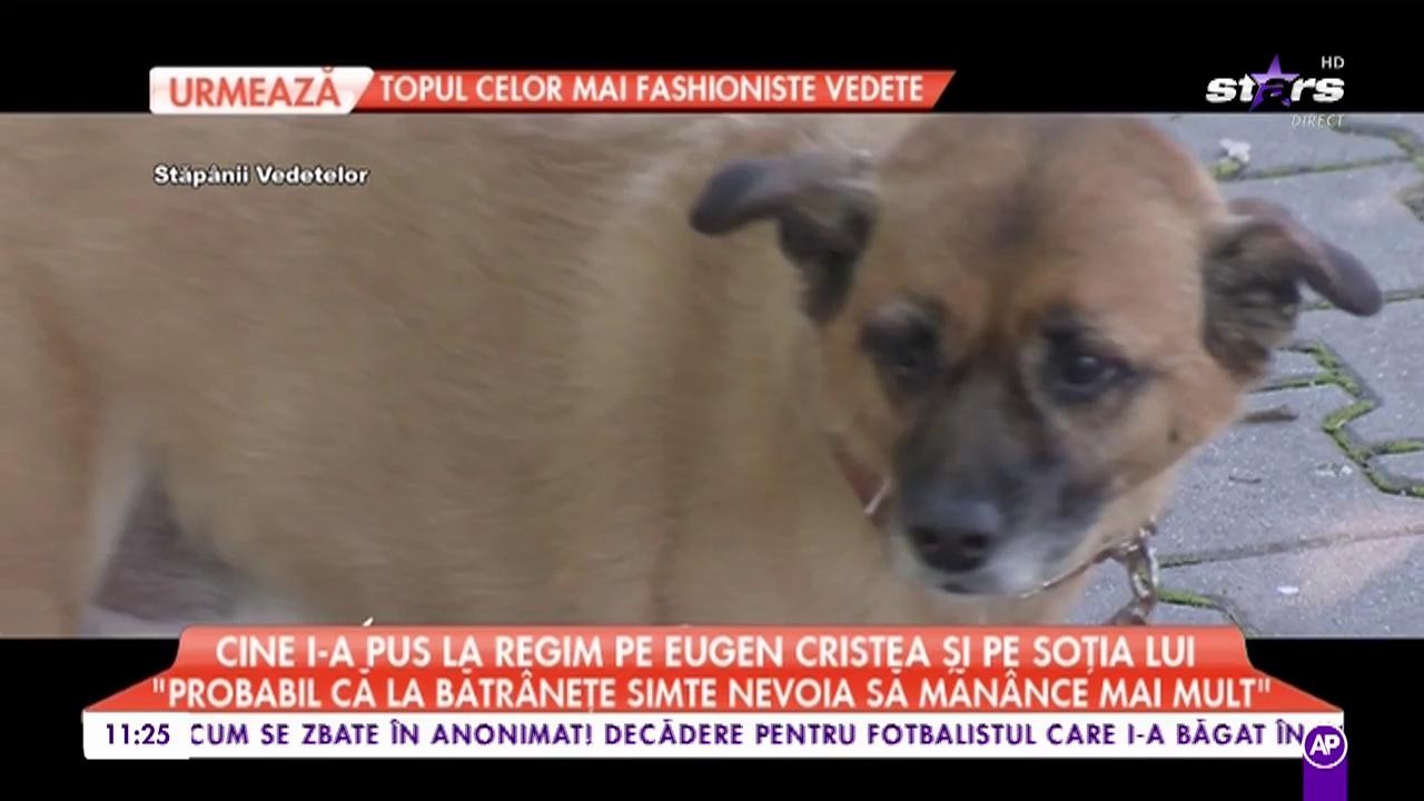 Celebrul actor Eugen Cristea a ajuns să țină o dietă care face minuni! Cine l-a pus la regim