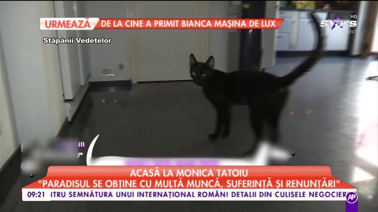 Monica Tatoiu, amenințată de soț că o părăsește: &rdquo;A spus că dacă mai aduc un animal, pleacă de acasă&rdquo;