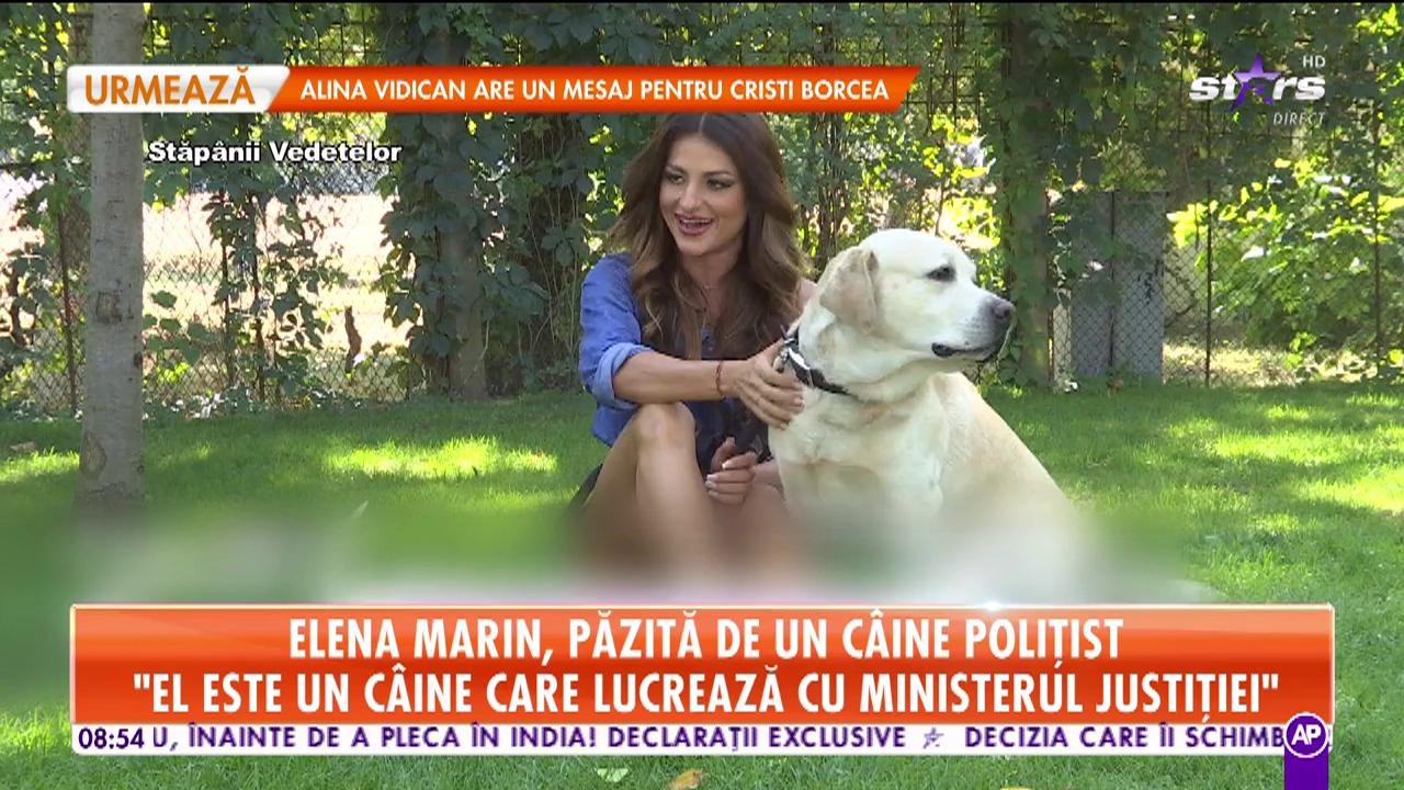 Asistena lui Morar, păzită de un c&acirc;ine poliţist