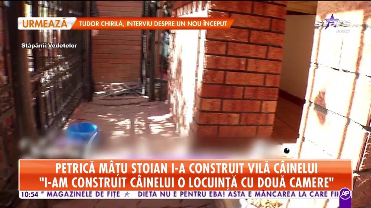 Petrică Maţu Stoian i-a construit vilă c&acirc;inelui: &bdquo;Lord a fost adus din Elveția&rdquo;