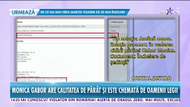 Monica Gabor, citată &icirc;ntr-un proces cu Irinel Columbeanu