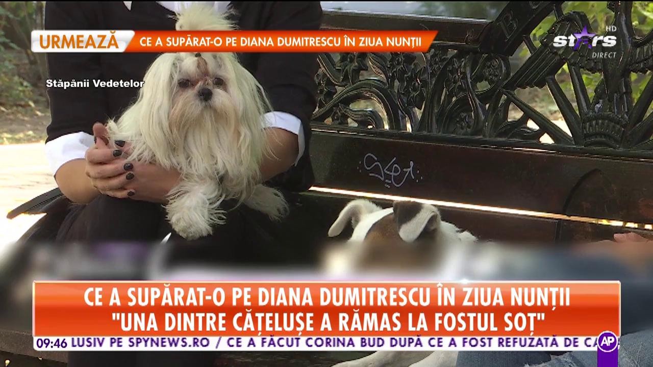 Ce a supărat-o pe Diana Dumitrescu &icirc;n ziua nunții: "Cei de la hotel nu l-au primit și pe Aki, cățelul meu, la ceremonie"