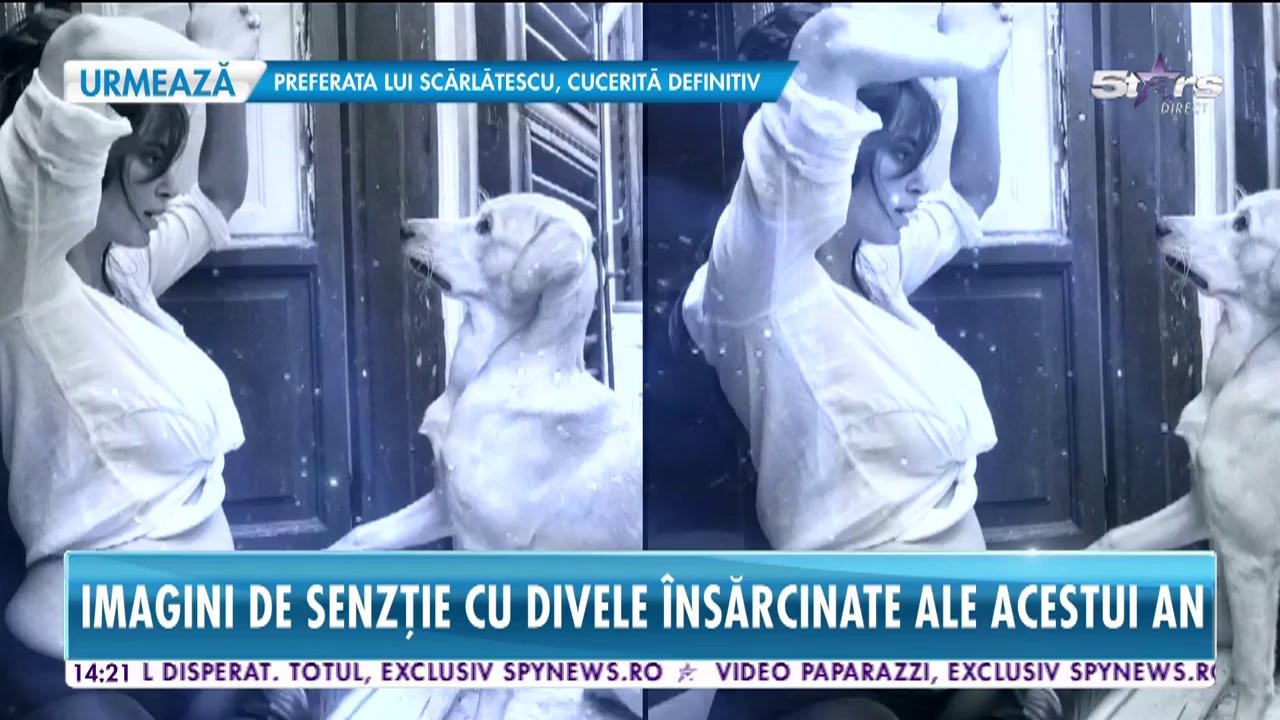 2018, anul graviduțelor sexy &icirc;n showbizul rom&acirc;nesc