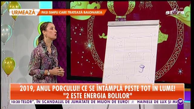 2019, Anul Porcului &icirc;n zodiacul chinezesc! Ce se &icirc;nt&acirc;mplă peste tot &icirc;n lume!