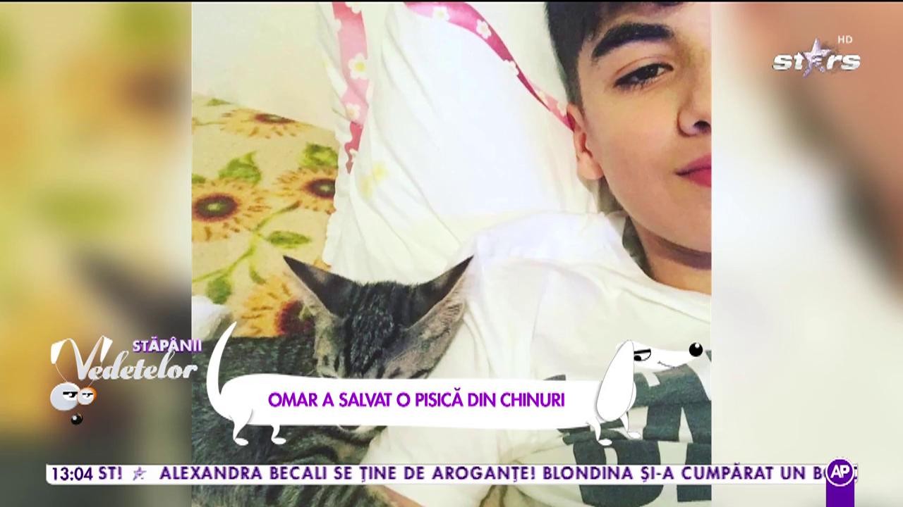 Omar Arnaout, primul c&acirc;știgător "Next Star", a salvat o pisică