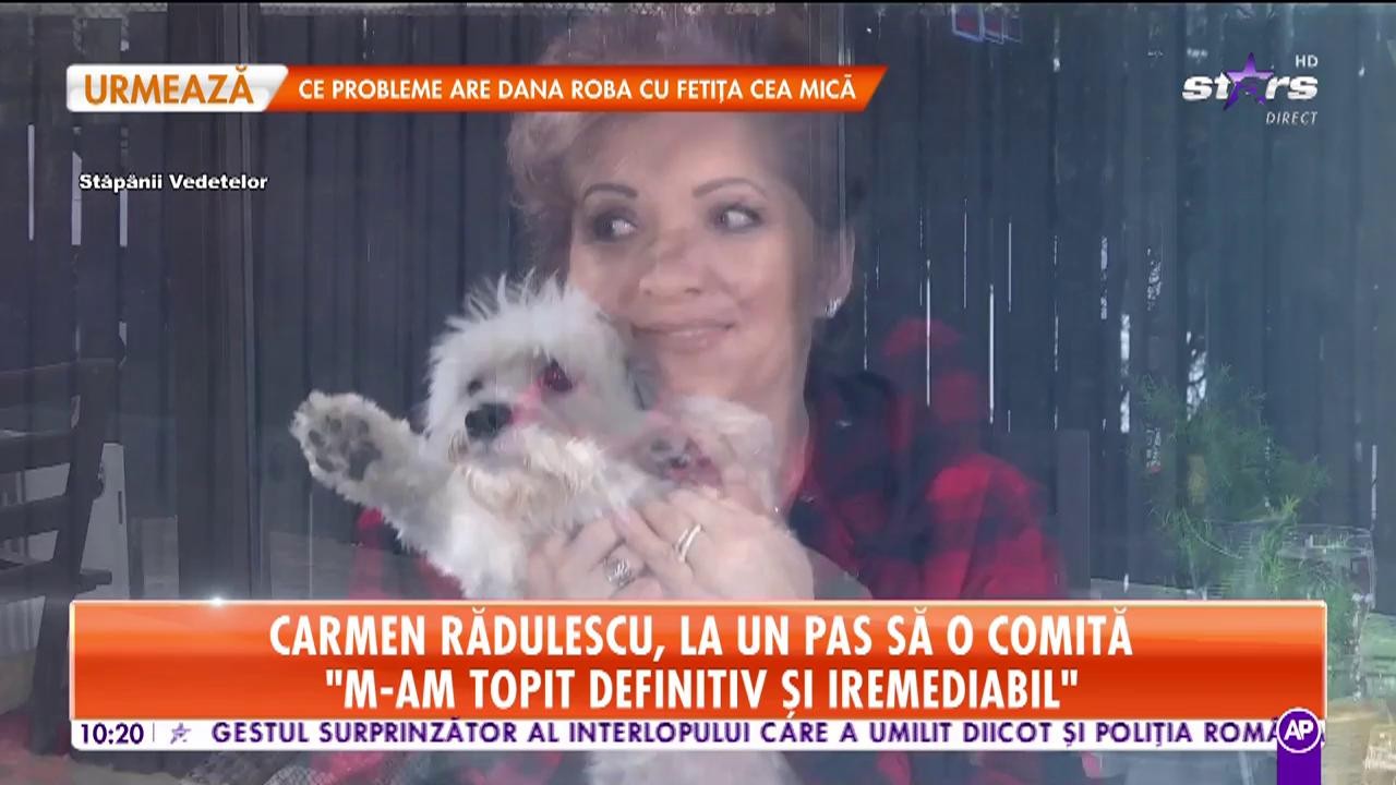 Carmen Rădulescu, la un pas să o comită! "Mi-au adus c&acirc;inele &icirc;ntr-o cutie de tort şi am vrut să-l pun &icirc;n frigider!"