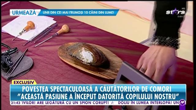 Mimi și Ovidiu Nemeș, povestea spectaculoasă a căutătorilor de comori