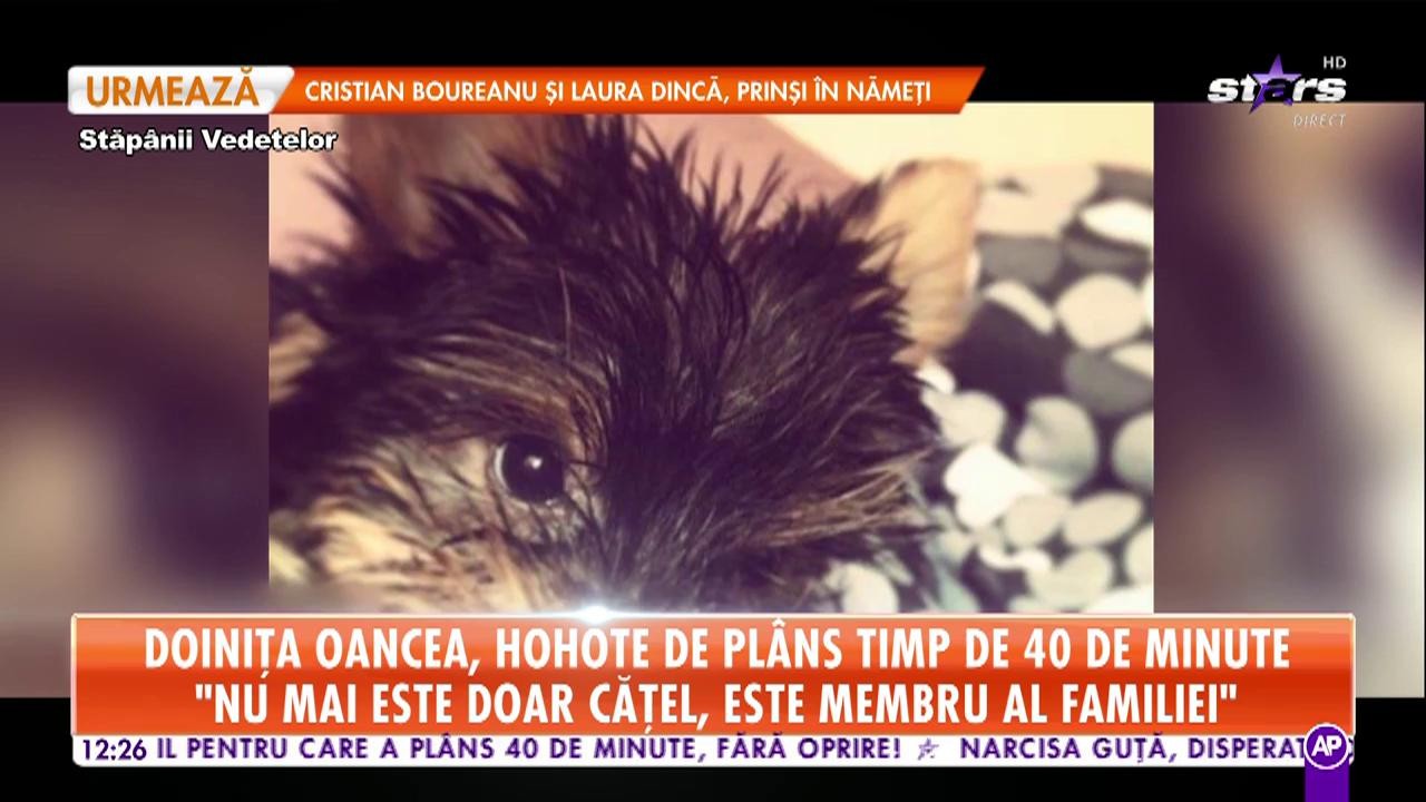 Doiniţa Oancea, hohote de pl&acirc;ns timp de 40 de minute