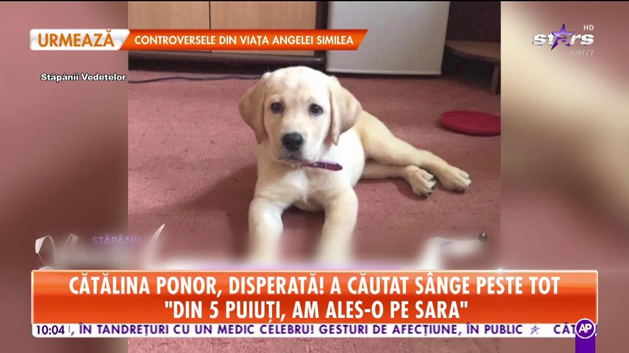 Cătălina Ponor, disperată! A căutat s&acirc;nge peste tot