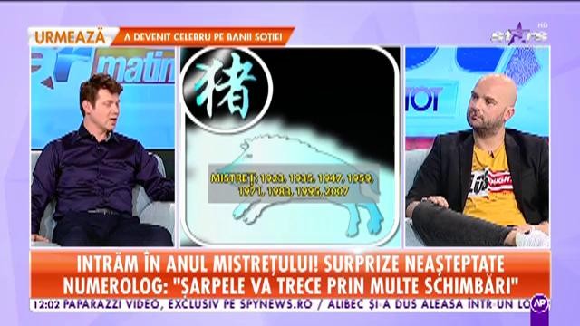 Intrăm &icirc;n anul Mistrețului! Numerologul Nelu Vicleanu: "Dragonul beneficiază de mult succes &icirc;n afaceri"