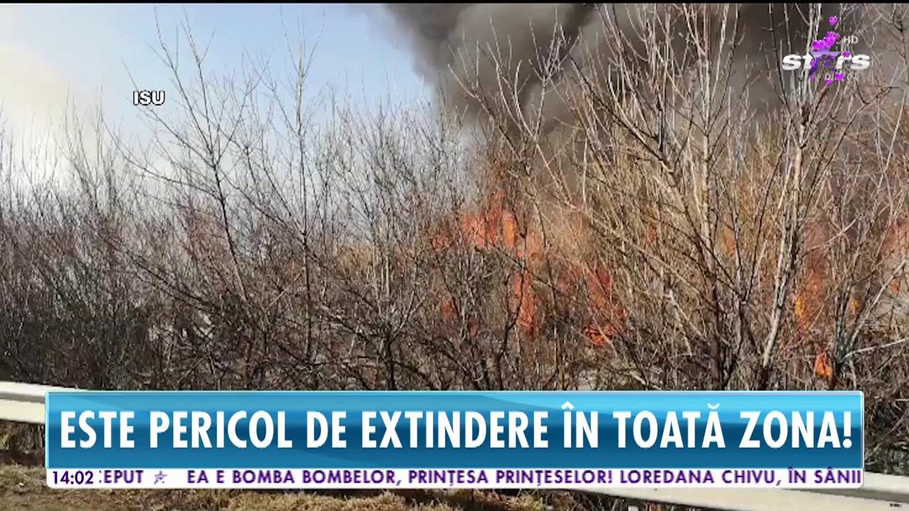 Incendiu de proporţii &icirc;n Bucureşti, aproape de Şoseaua de Centură. Un punct de colectare-reciclare autoturisme din Voluntari a luat foc