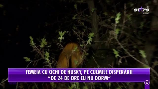 Lena e &icirc;n continuare &icirc;n culmea disperării! De două zile &icirc;şi caută pisica!