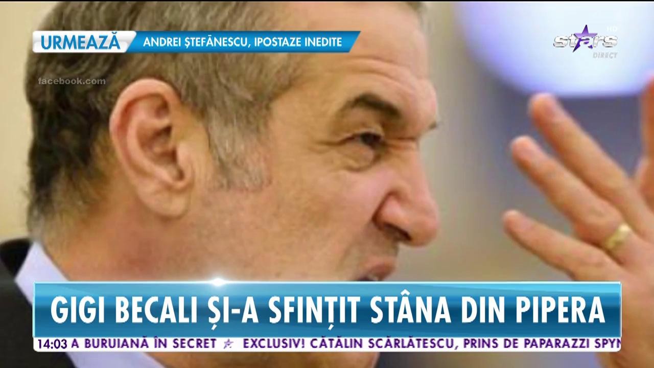 Imagini de senzație cu Gigi Becali și turma lui de oi. Afaceristul şi-a sfinţit st&acirc;na din Pipera!