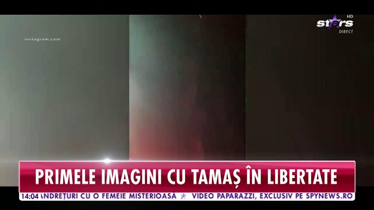 Primele imagini cu Gabriel Tamaş &icirc;n libertate! A sărbătorit cu artificii şi le-a mulţumit fanilor