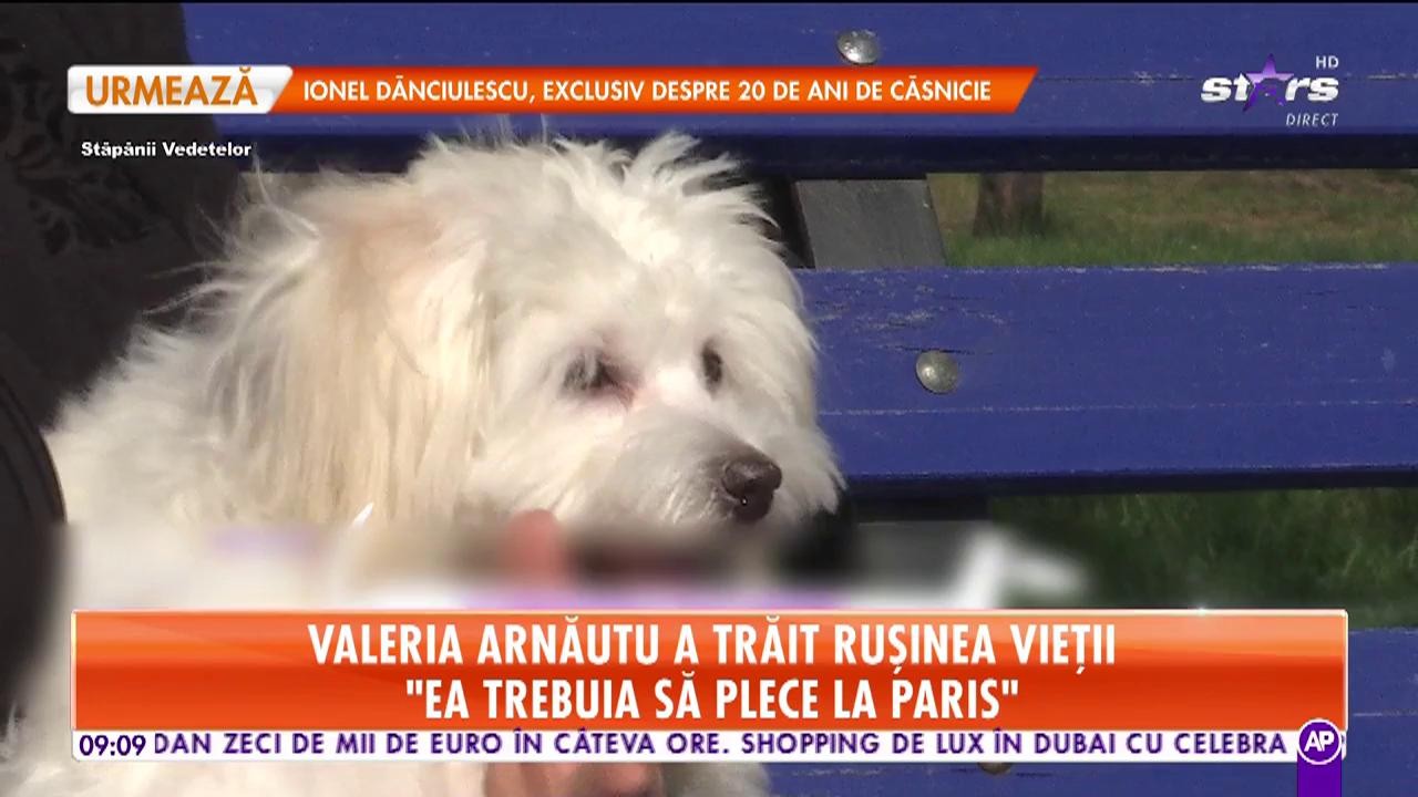 Valeria Arnăutu a trăit rușinea vieții: De răzbunare a ros o geantă nou-nouţă, de piele, a prietenei mele