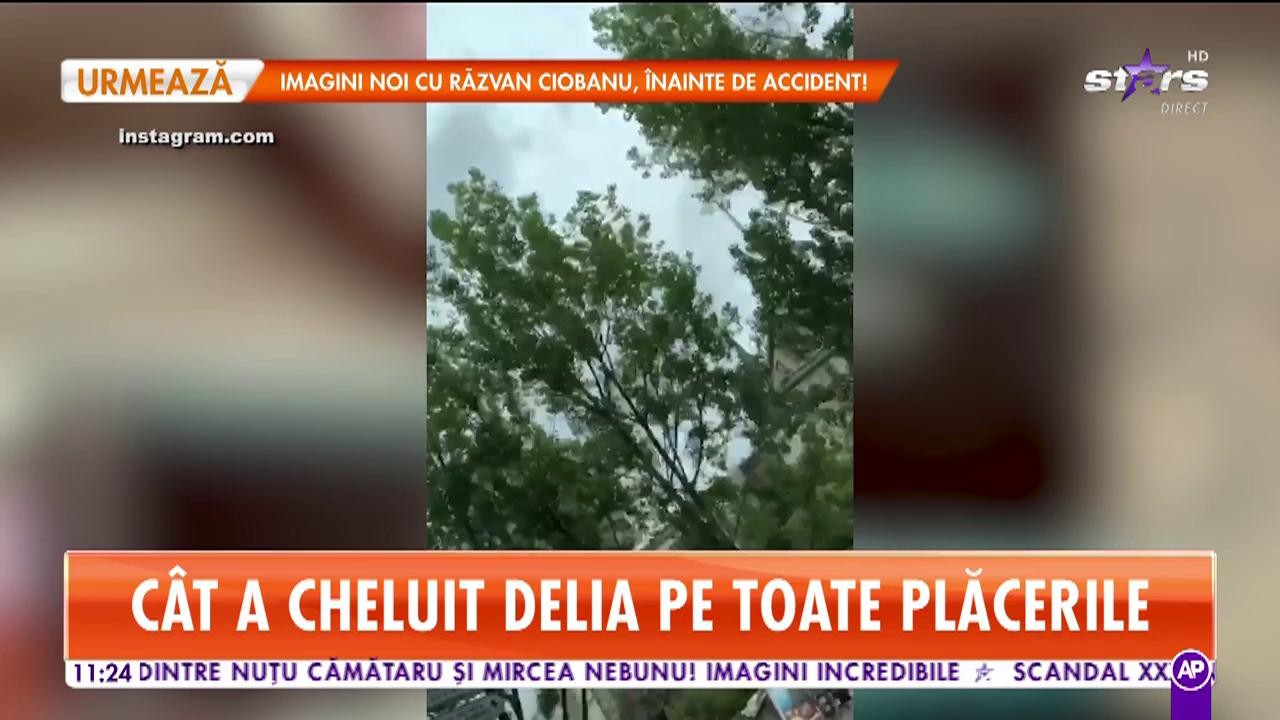 Delia, shopping de lux &icirc;n Paris. C&acirc;t a cheltuit artista