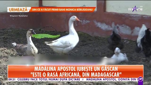 Mădălina Apostol, interviu exclusiv chiar la ea acasă: M-am atașat de g&acirc;scan. Este foarte deștept