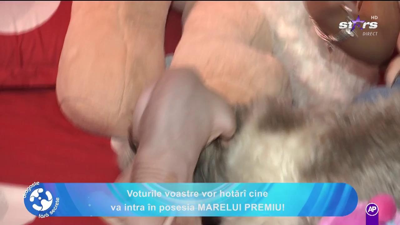 Dragoste fără secrete. Cum arată viața lui Andrei și a iubitei lui, Flori, &icirc;n afara competiției