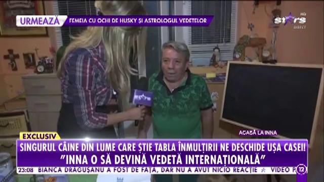 Inna, singurul căţel din lume care ştie tablă &icirc;nmulţirii şi numără bani, &icirc;n direct, la Agenția Vip!