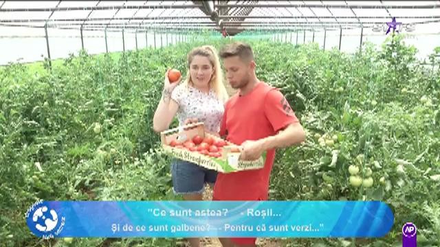 Dragoste fara secrete. Cuplurile au mers la ferma lui Florin, unde au cules fructe şi legume!