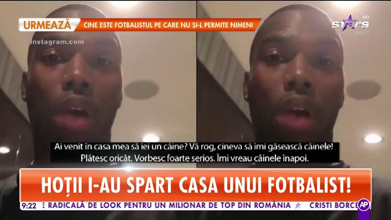 Star Matinal. Hoţii i-au spart casa lui Sturridge şi i-au furat c&acirc;inele