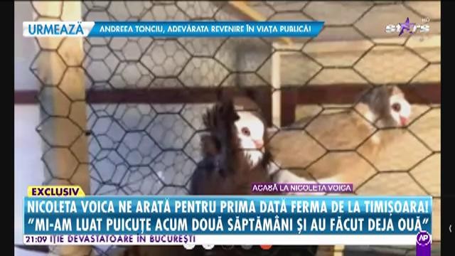 Răi da buni. Nicoleta Voica își arată pentru prima dată ferma de la Timișoara