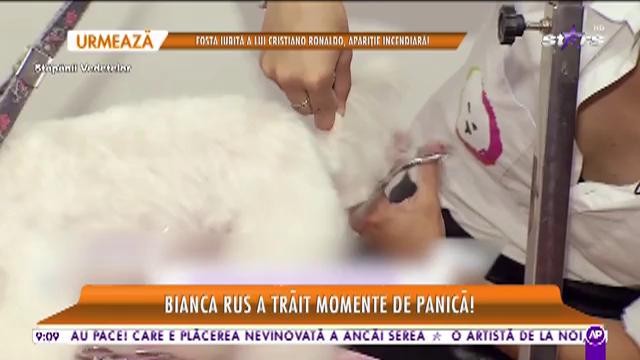 Star Matinal. Bianca Rus, &icirc;n pragul disperării! O ființă dragă i-a fost răpită și i s-a cerut recompensă