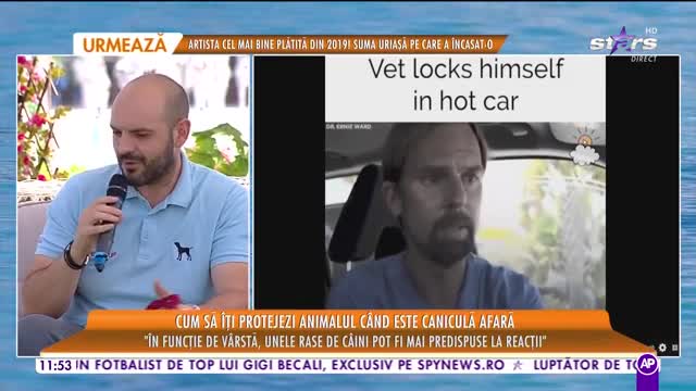 Cum &icirc;ți protejezi animalul c&acirc;nd este caniculă afară