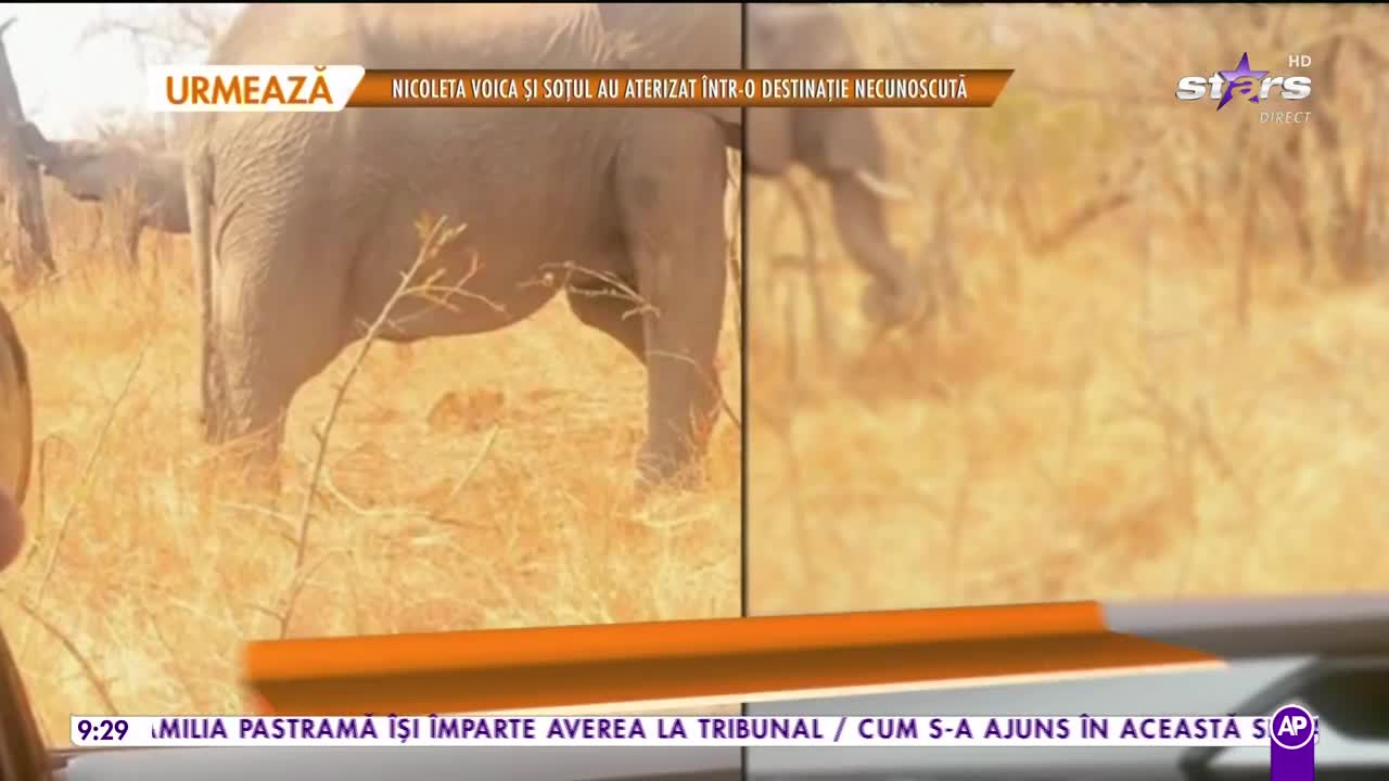 Mara Banică, vacanţă &icirc;n Africa, alături de iubitul secret!