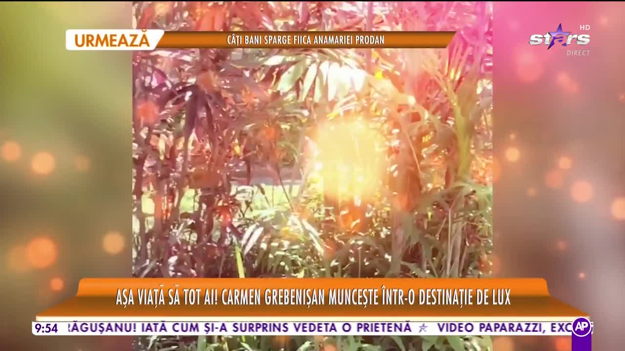 Star Matinal Așa viață să tot ai! Carmen Grebenişan muncește &icirc;ntr-o destinație de lux
