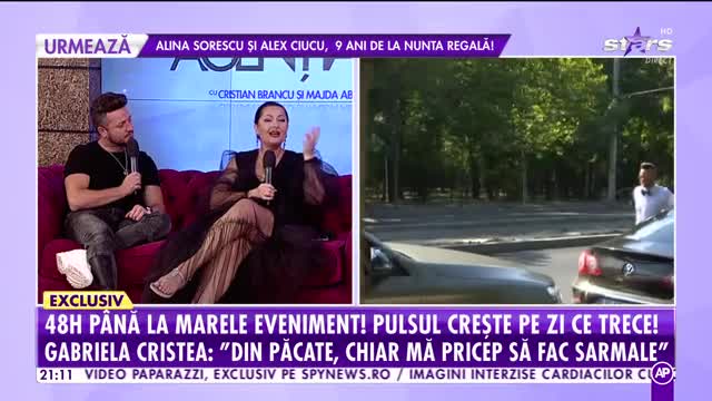 Agentia Vip