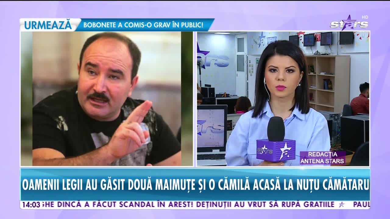 Star News. Percheziții &icirc;n casa lui Nuțu Cămătaru. Ce au descoperit polițiștii