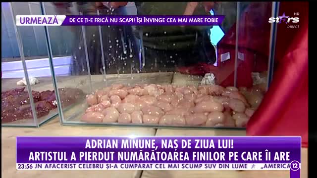 De ce ţi-e frică nu scapi! După Bianca Rus, o altă vedetă de la noi &icirc;şi &icirc;nvinge cea mai mare fobie, &icirc;n direct!