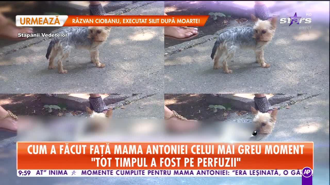 Star Matinal. Mama Antoniei a trecut prin momente cumplite!