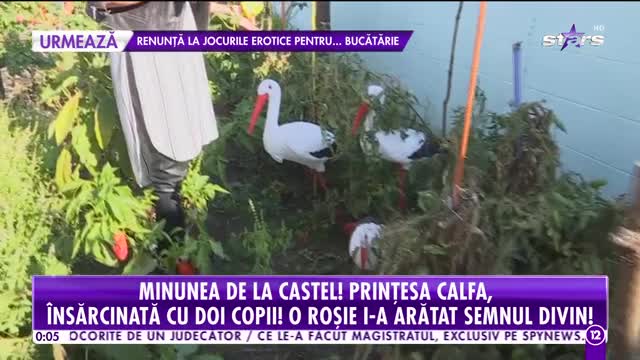 Agenția Vip. Prinţesa Calfa, însărcinată cu doi copii. Când va deveni mămică