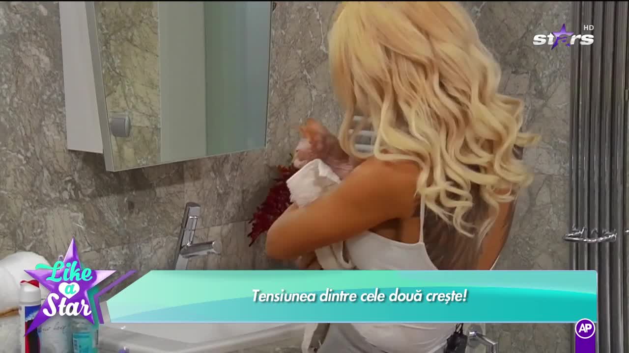 Motanul Ra, mărul discordiei dintre Naba şi Alexandra! "Nu puteai să-l speli &icirc;ntr-un lighean?"