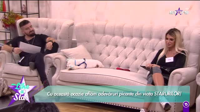 Concurenții de la "Like a Star" se joacă Am/N-am. Vezi aici c&acirc;t de sinceri sunt!