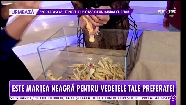 Agenția Vip. Proba acvariilor dubioase bagă spaima într-o brunetă celebră şi senzuală!