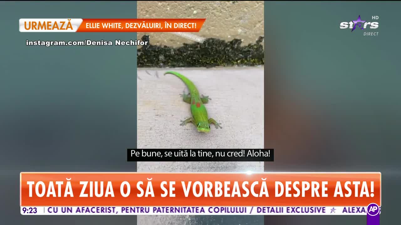 Cum petrece Denisa Nechifor departe de coronavirus