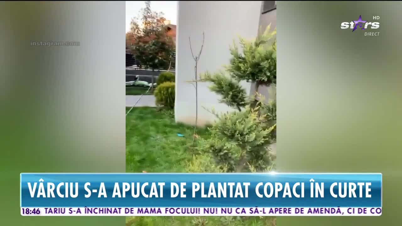 Liviu Vârciu s-a apucat de grădinărit