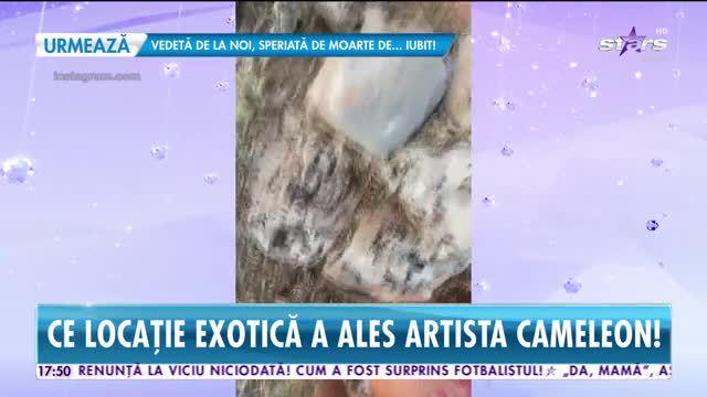 Delia, vacanţă exclusivistă, după pandemie