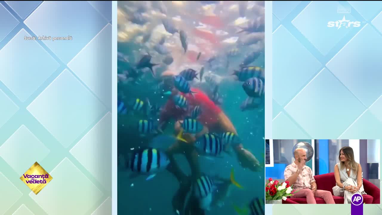 Vacanță de vedetă | Sezonul 3 - Episodul 18