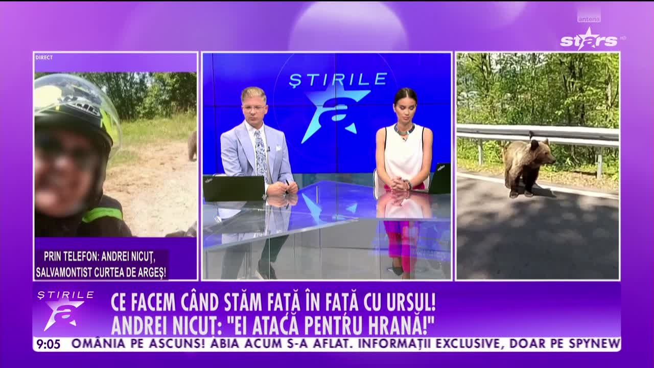 Știrile Antena Stars