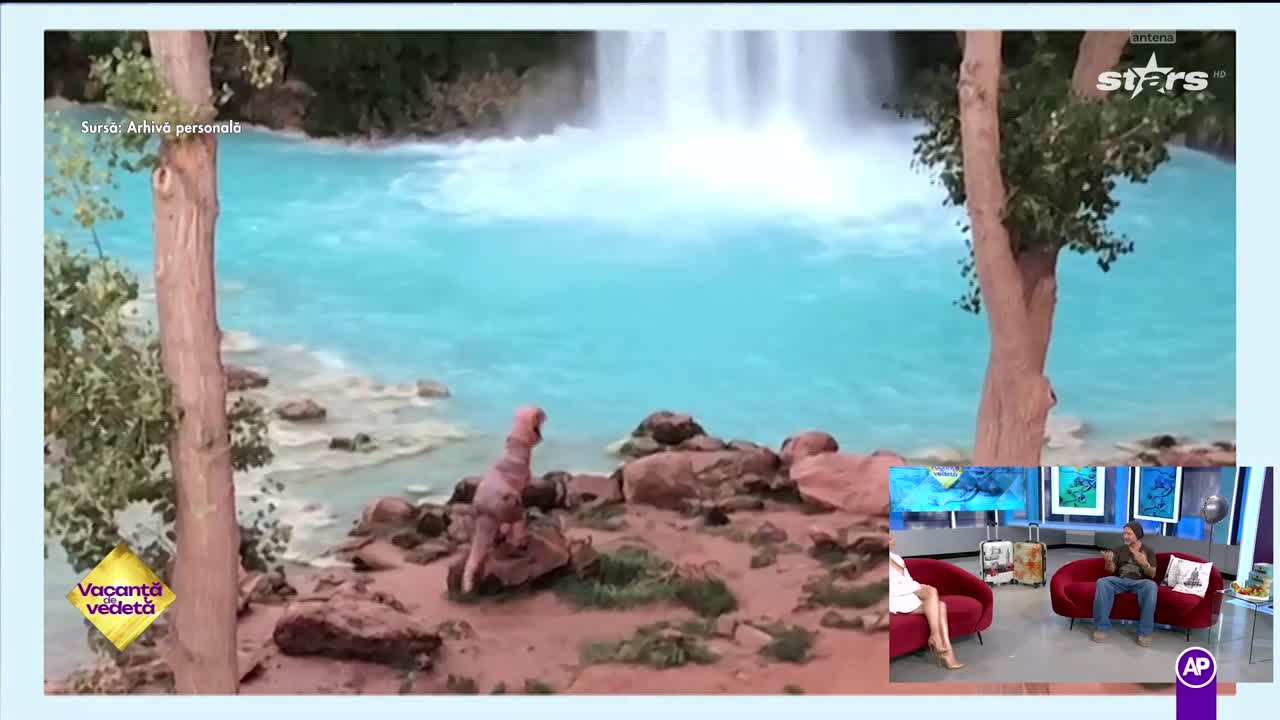 Vacanță de vedetă | Sezonul 4 - Episodul 9