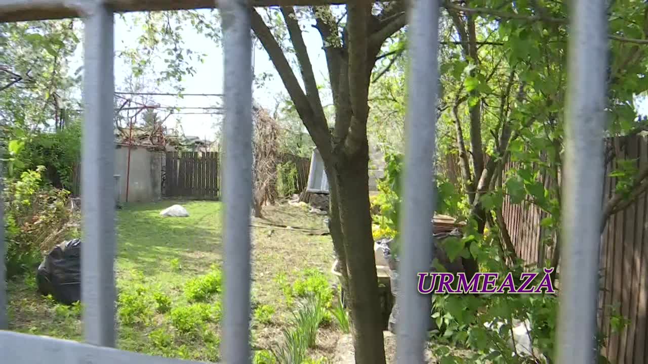 Viața fără filtru